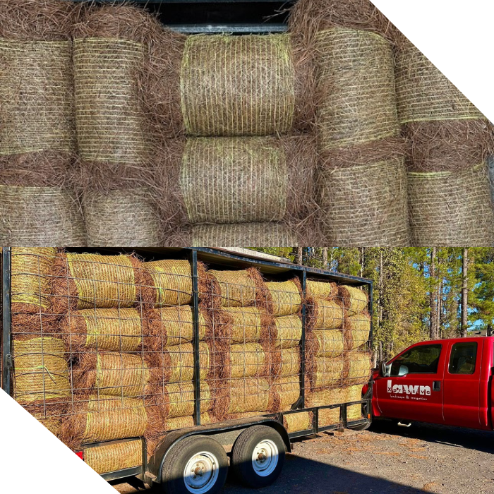 Fresh-baled long-leaf pinestraw